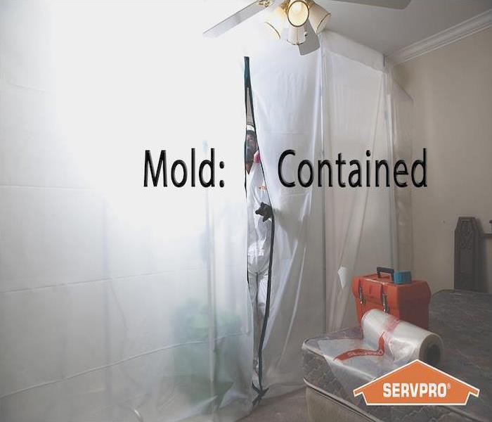 Mold cleaning in Pensacola, FL