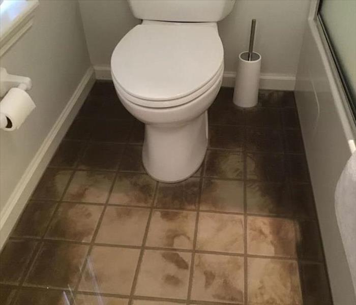 Toilet Area with Dirty Water on the Floor in Pensacola, Florida